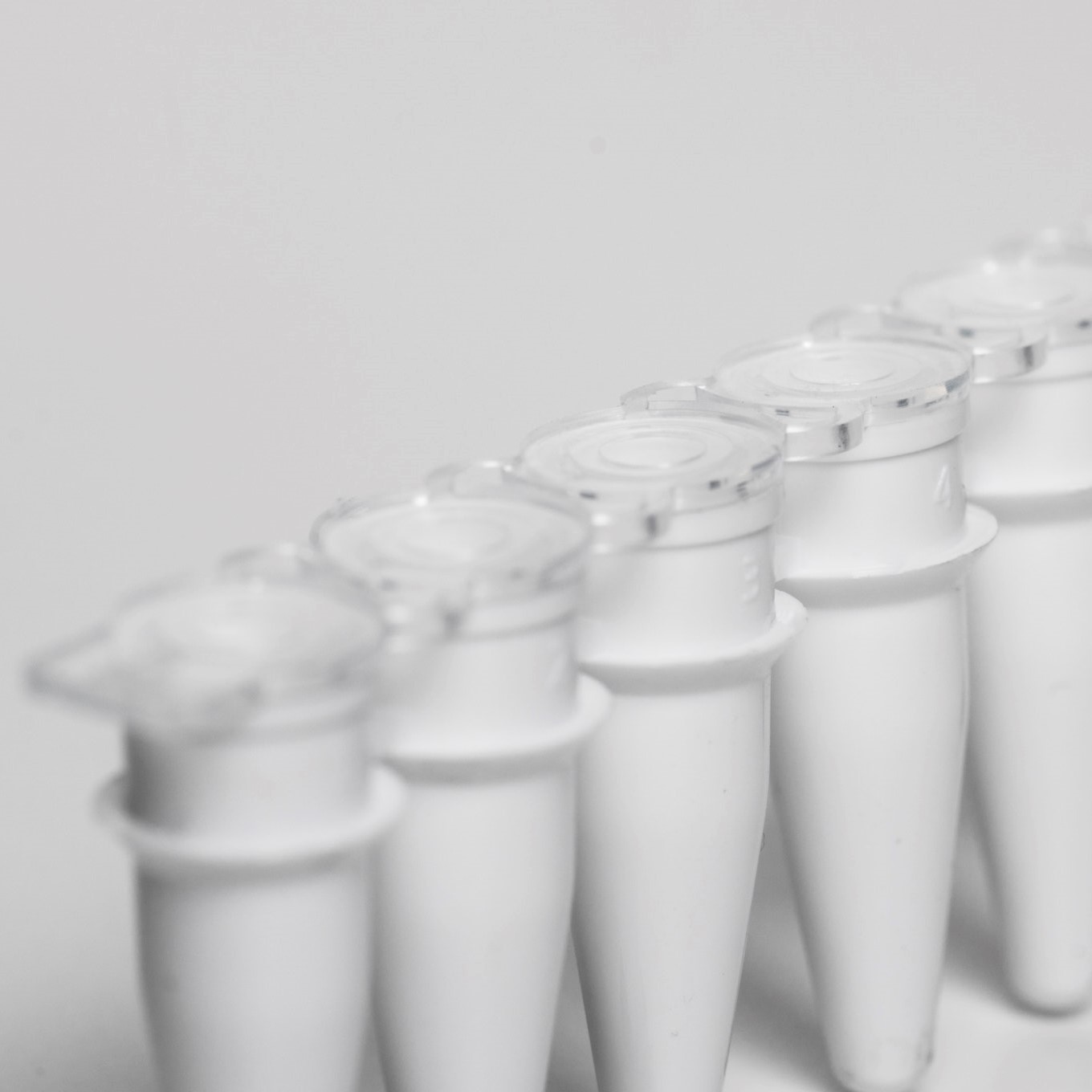 PCR tubes 0.2 ml white PP strips w/8 tubes incl. flat caps as strips PCR ready 6.000G