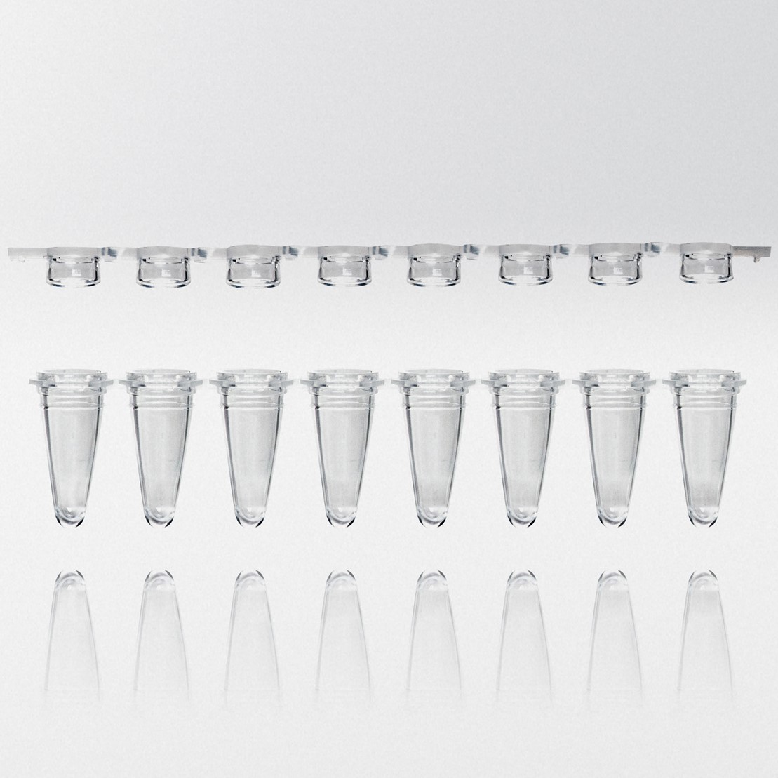 PCR rør 0.1 ml natur PP strips m/8 rør inkl. flade låg som strip...