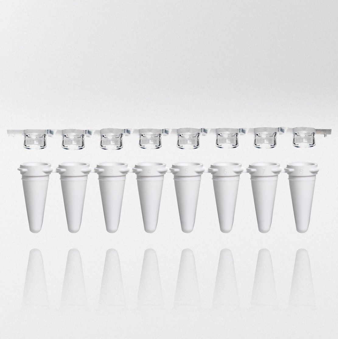 PCR rør 0.1 ml hvid PP strips m/8 rør inkl. flade låg som strip...