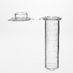 Microtube PP 2.0 ml attached cap. RNase-,DNase-and Pyrog. free....