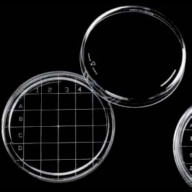 Contact plate PS 65.8 x 14.7 mm Sterile A without vents. 25 tube...