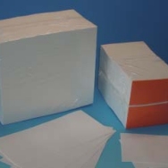 Electroforese wick no 1 100 x 100 mm