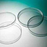 Petri dish PS 90 x 14.2 mm Sterile A with 3 vents. 25 tubes with...